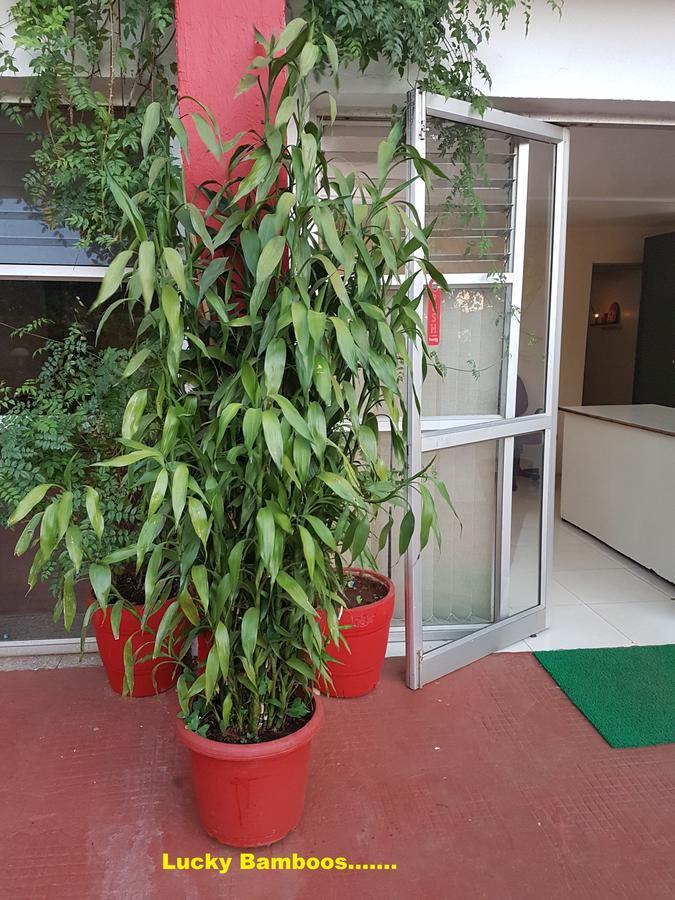 Hotel Stone House Mahabaleshwar Bagian luar foto